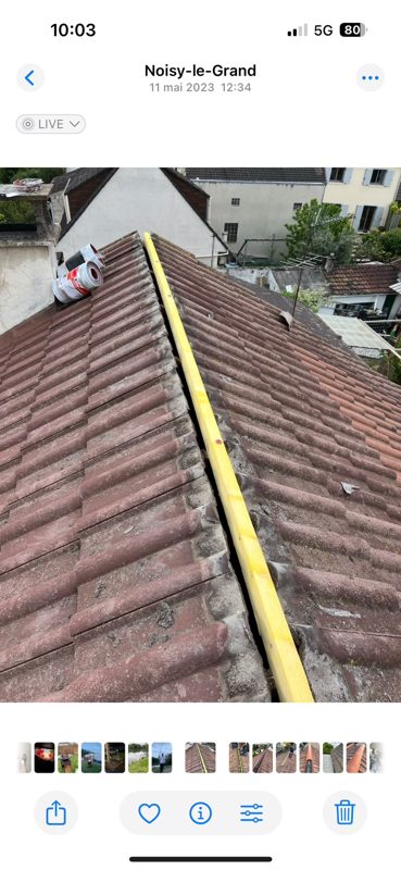Réalisation toiture au Perreux-sur-Marne (94170) dans le Val-de-Marne (94) - photo 170