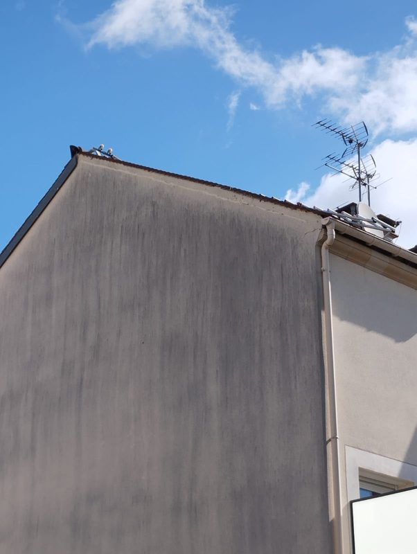 Réalisation toiture au Perreux-sur-Marne (94170) dans le Val-de-Marne (94) - photo 70