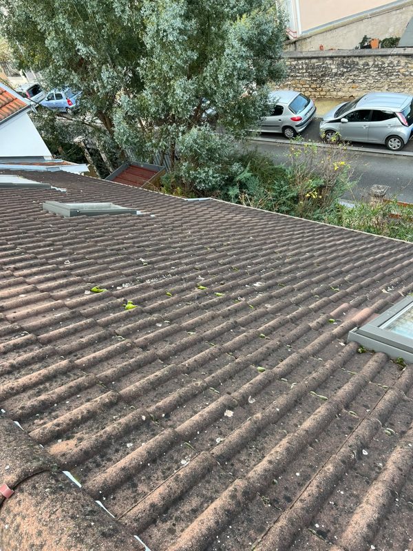 Réalisation toiture au Perreux-sur-Marne (94170) dans le Val-de-Marne (94) - photo 93